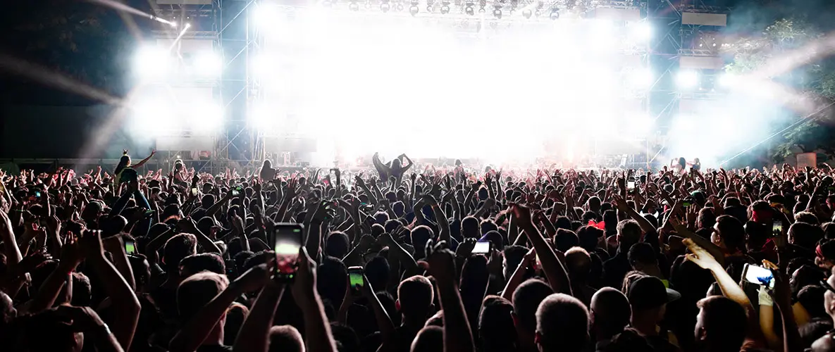 The Role of Physical Security in the Entertainment Industry: From Crowds to VIPs