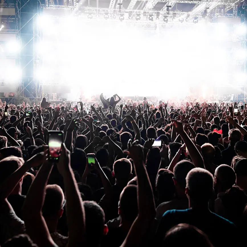 The Role of Physical Security in the Entertainment Industry: From Crowds to VIPs